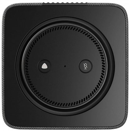 Яндекс Станция Макс с Zigbee Графит
